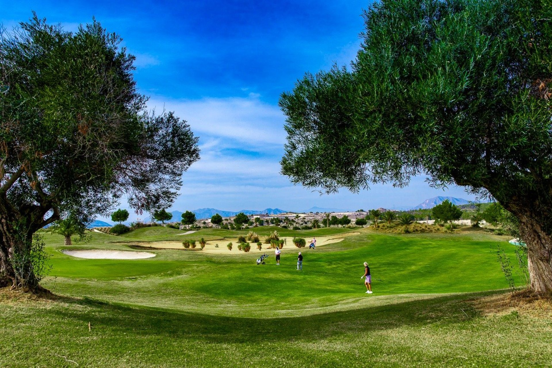 Neue Gebäude - Bungalow - Orihuela - Vistabella Golf
