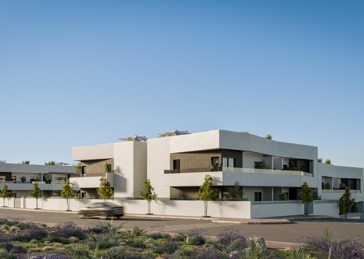 Neue Gebäude - Bungalow - San Miguel de Salinas - Pueblo