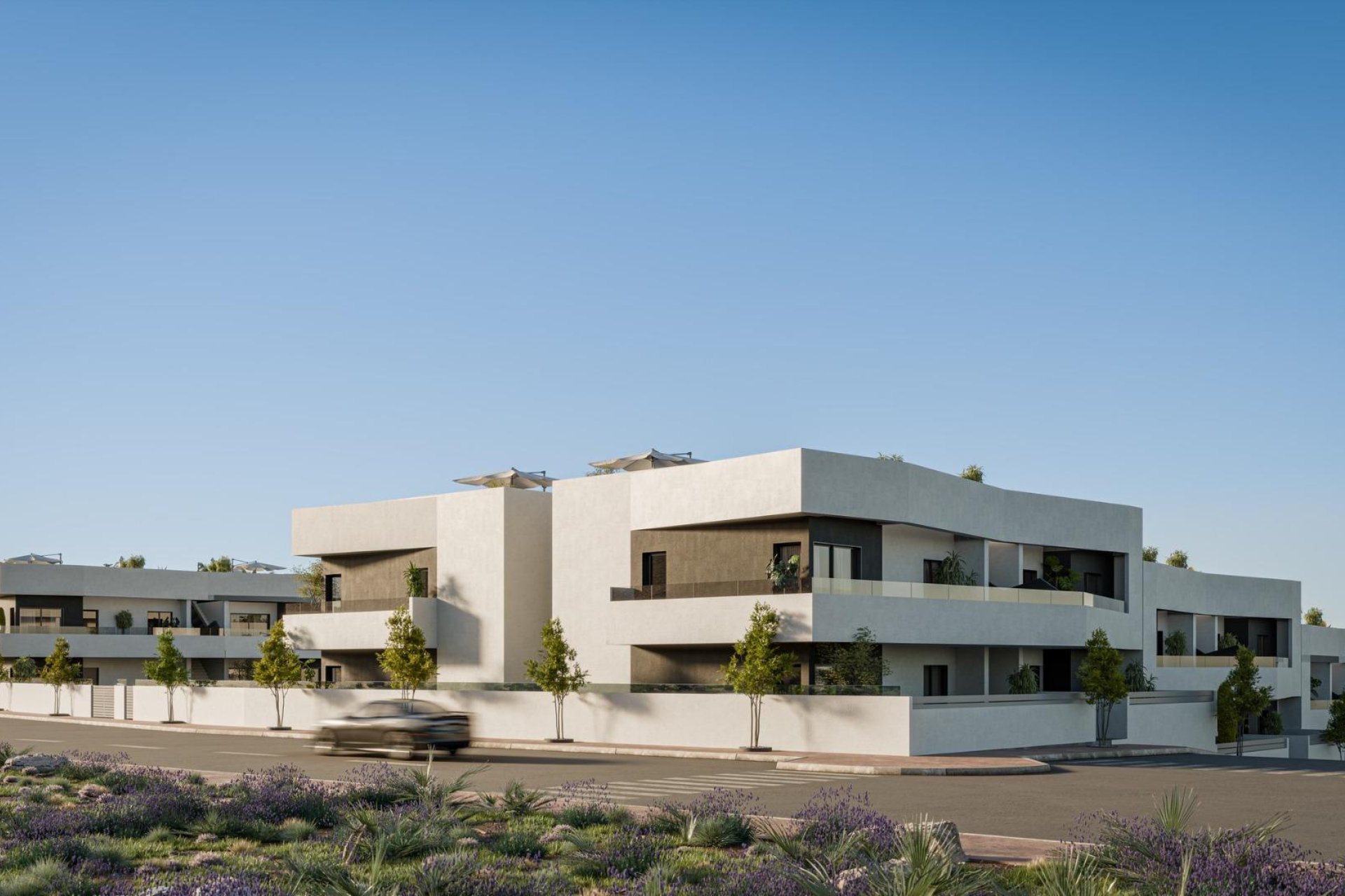 Neue Gebäude - Bungalow - San Miguel de Salinas - Pueblo