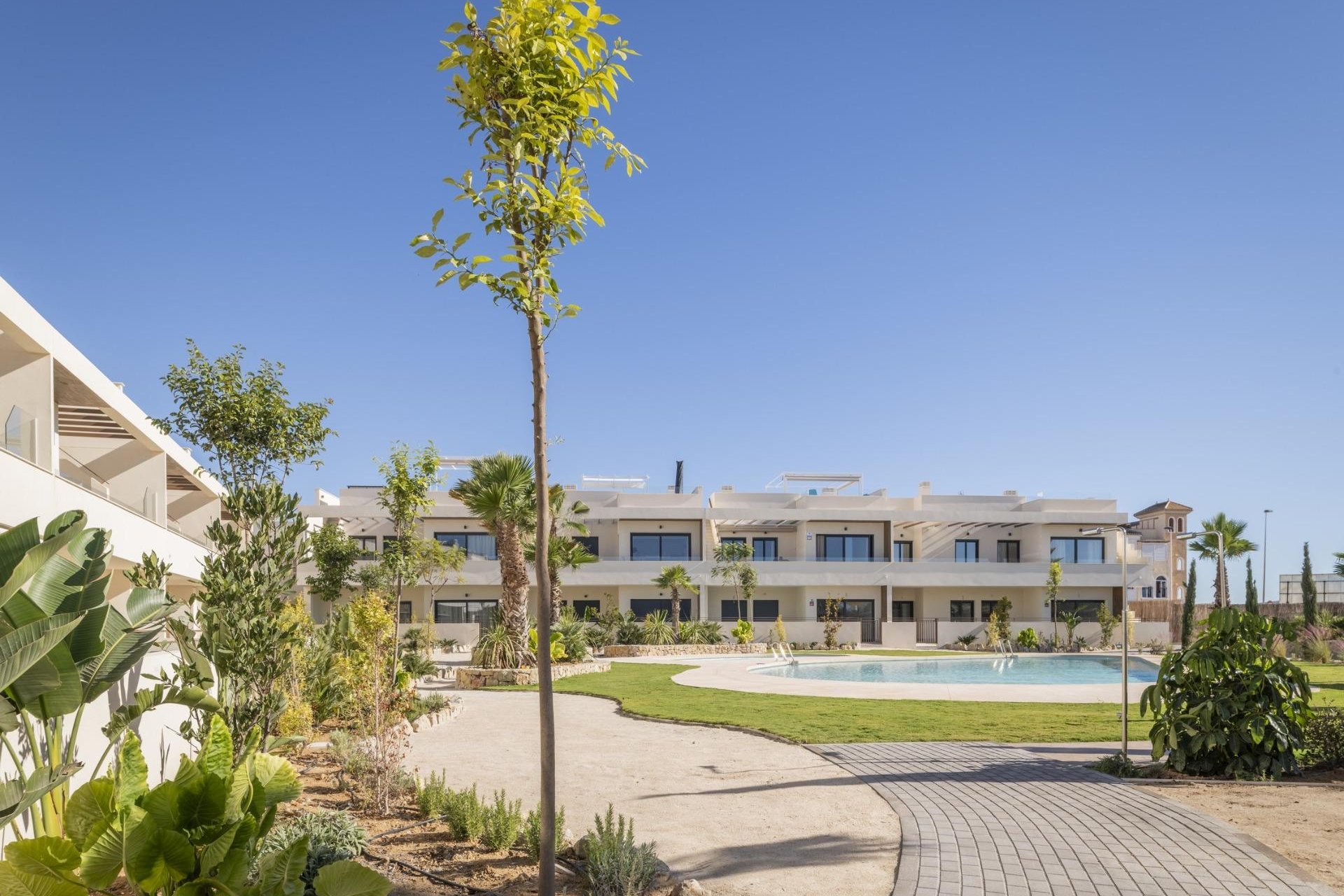 Neue Gebäude - Bungalow - Torrevieja - Villa Amalia