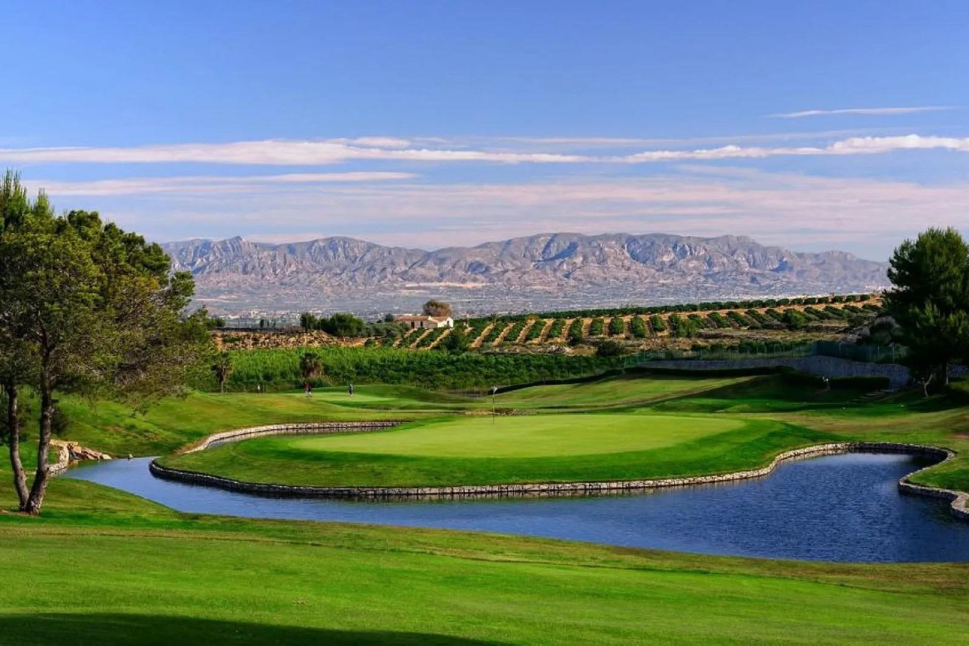 Neue Gebäude - Villa - Algorfa - La Finca Golf