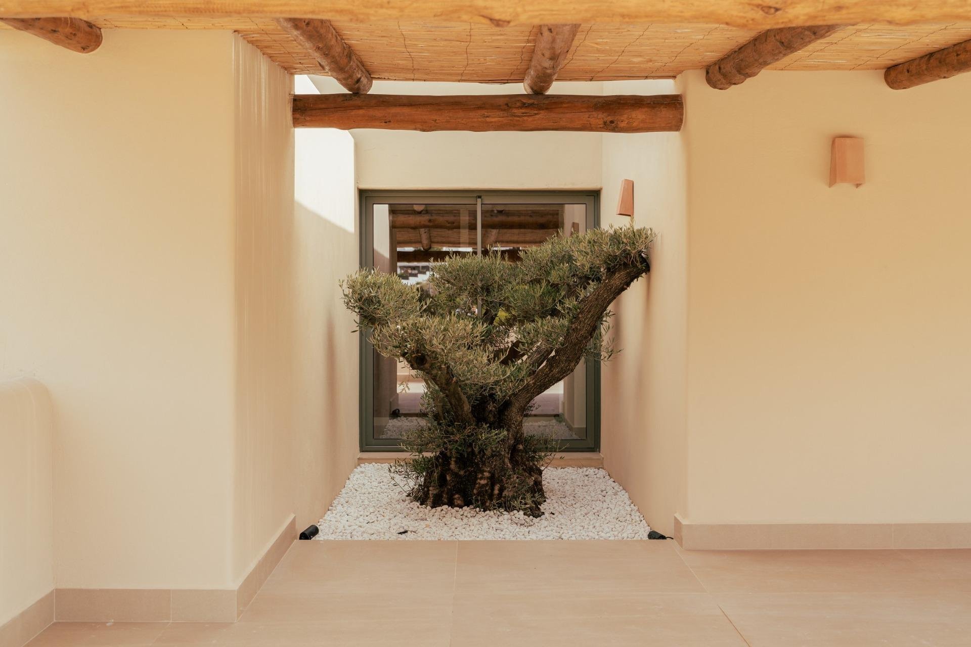 Neue Gebäude - Villa - Jávea Xàbia - Valle del Sol