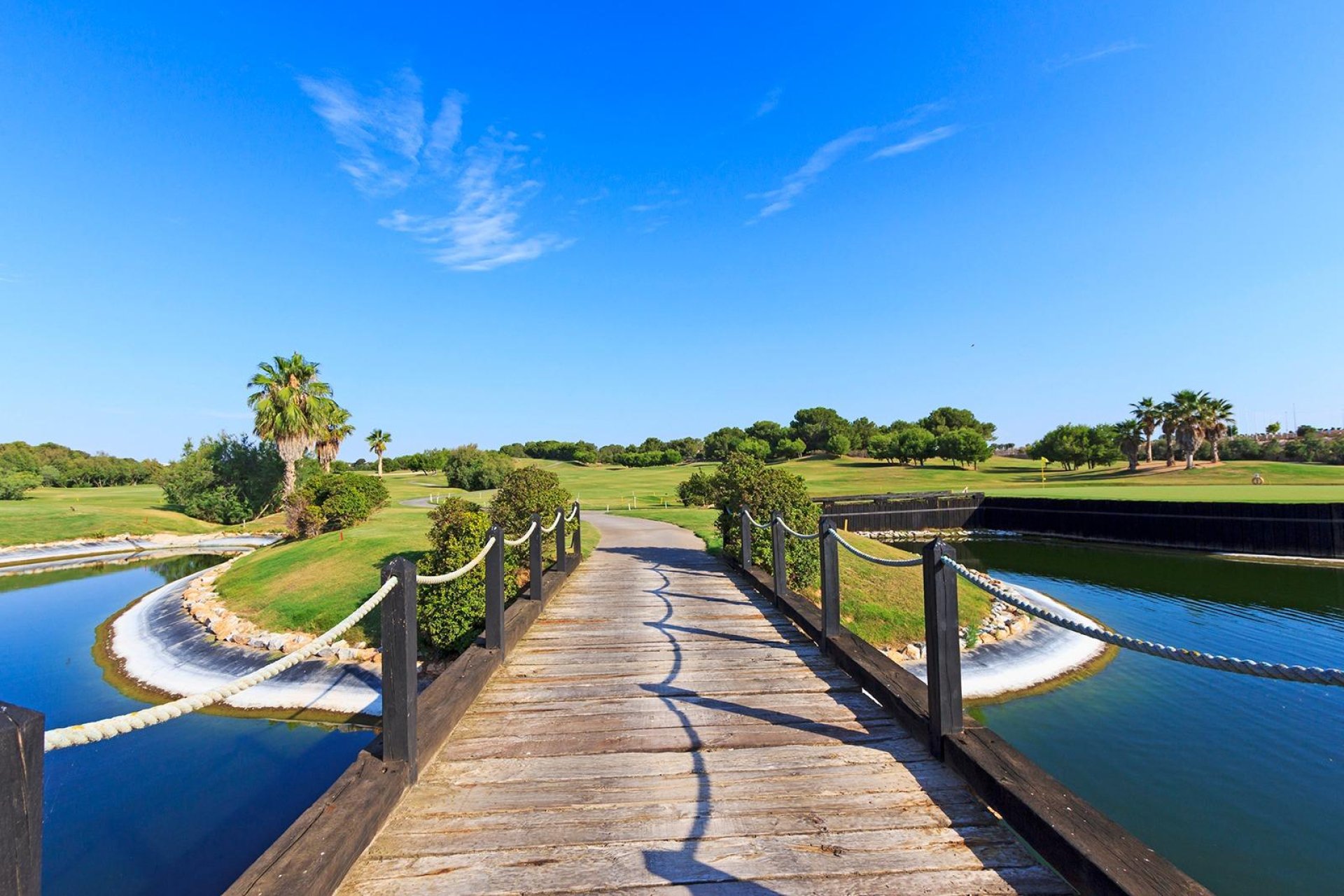 Neue Gebäude - Villa - Pilar de la Horadada - Lo Romero Golf