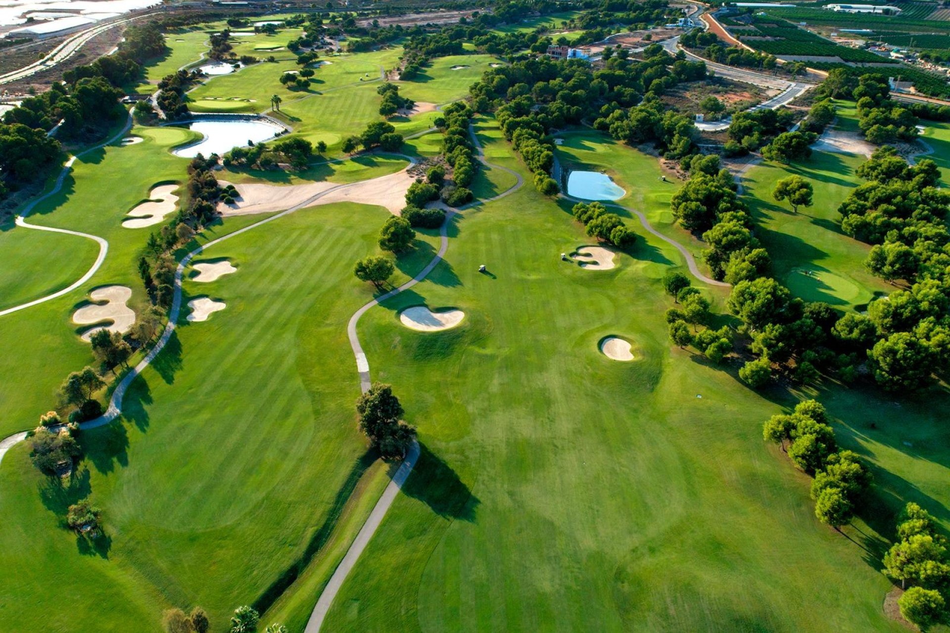 Neue Gebäude - Villa - Pilar de la Horadada - Lo Romero Golf