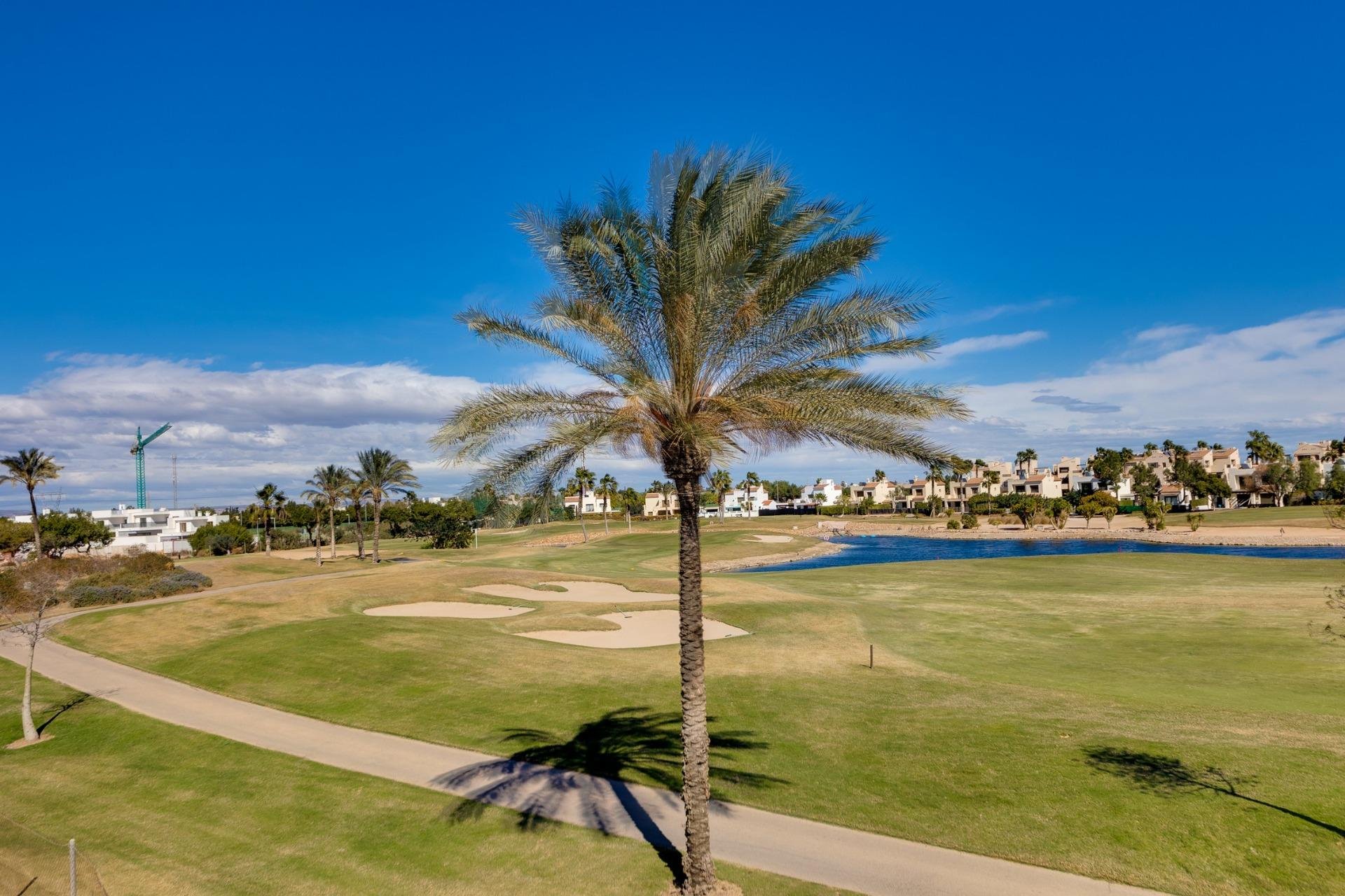 Neue Gebäude - Villa - Pilar de la Horadada - Lo Romero Golf