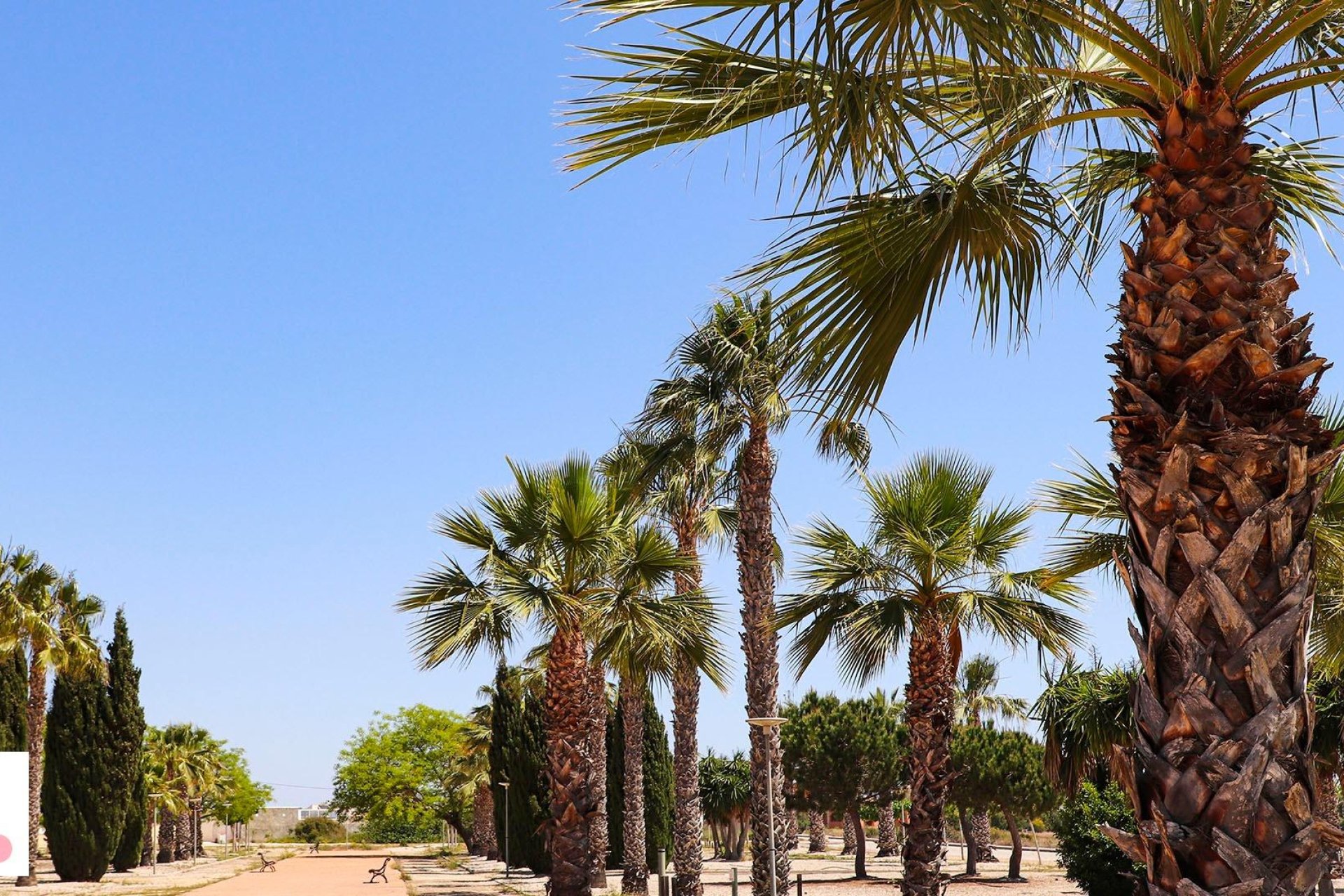 Neue Gebäude - Villa - San Fulgencio - La Escuera