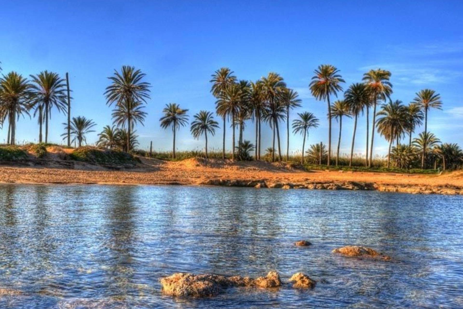 Neue Gebäude - Wohnung - Torrevieja - Playa de El Cura