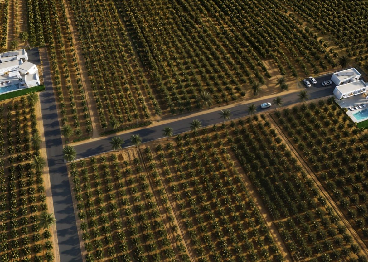 New Build - Villa - Benejúzar - alta