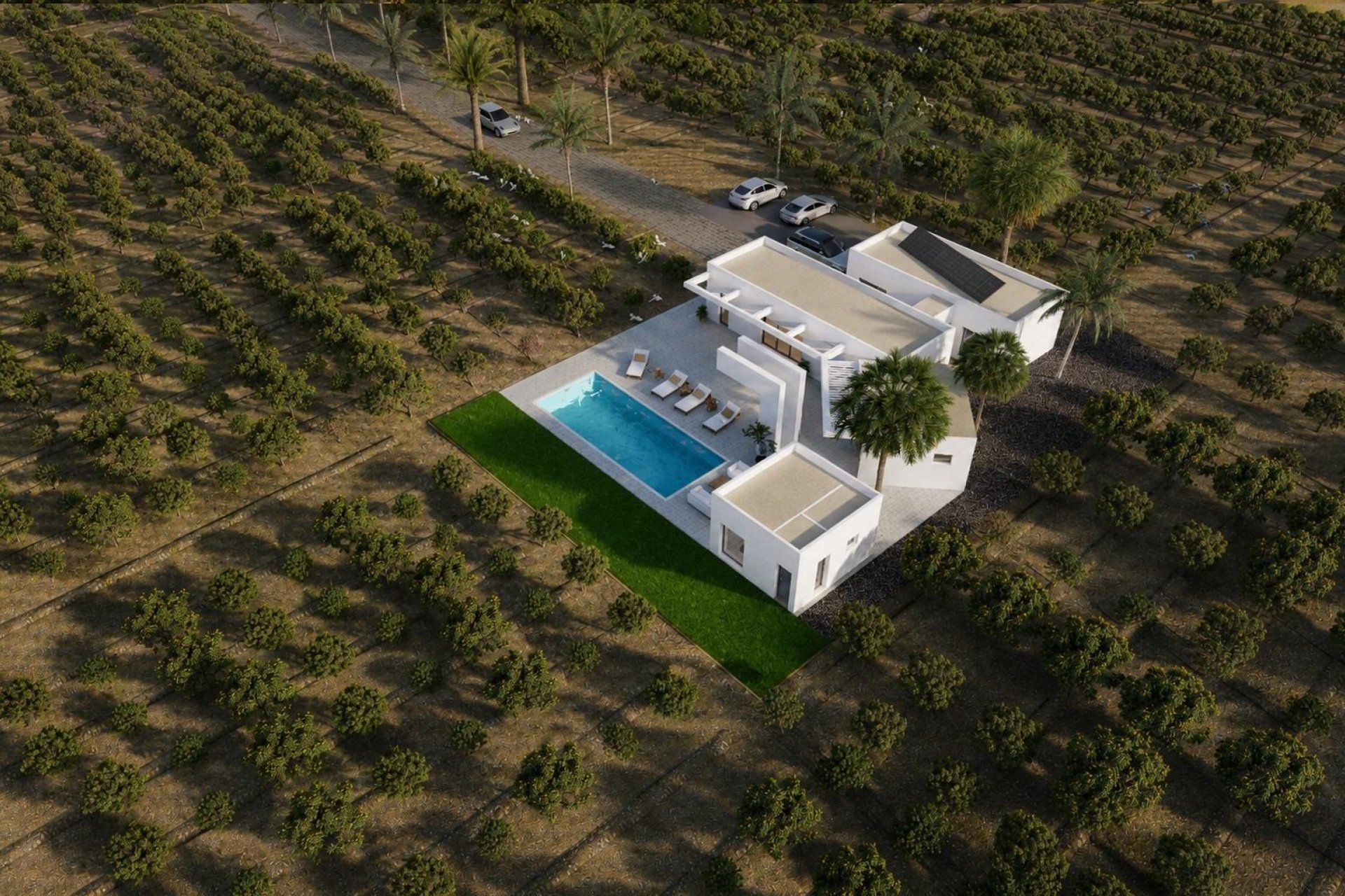 New Build - Villa - Benejúzar - alta