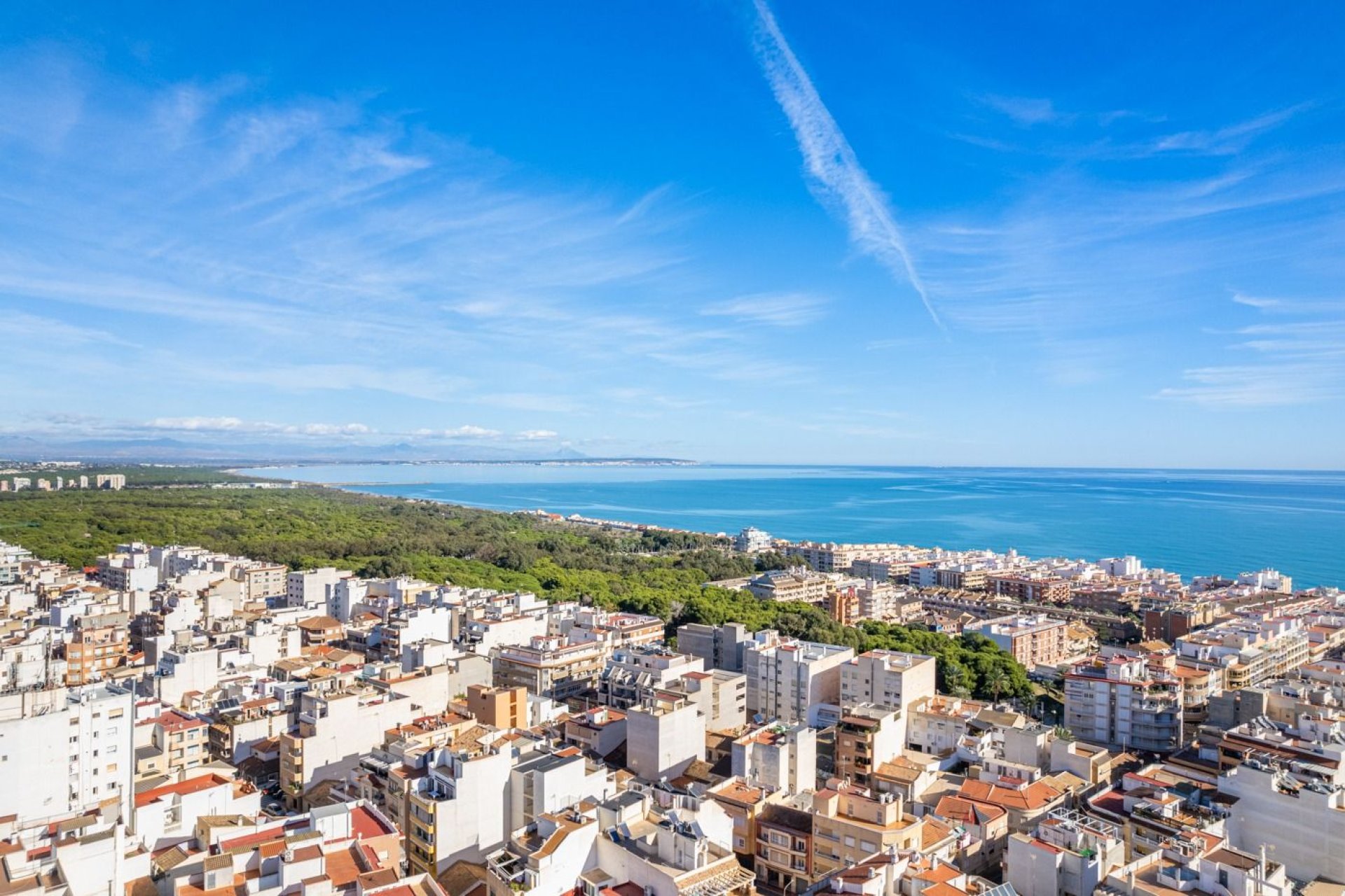 Obra nueva - Apartamento / piso - Guardamar del Segura - Centro