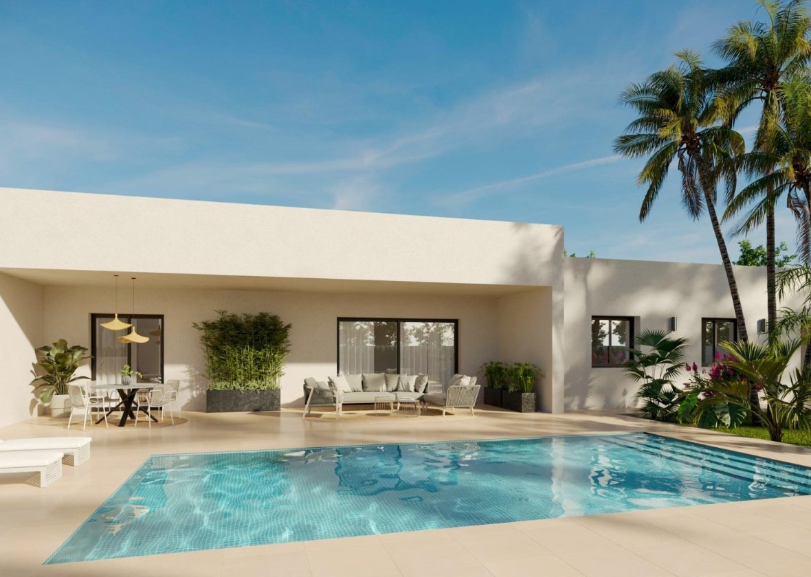 Obra nueva - Villa - Aspe - Poligono 19