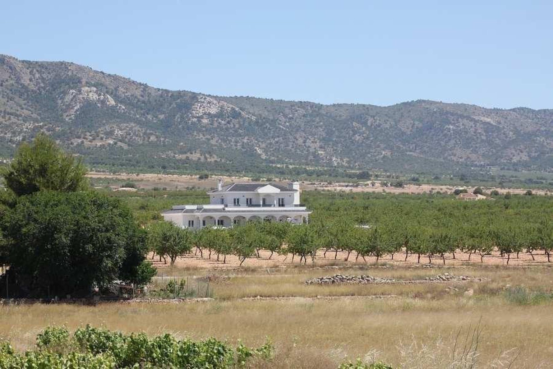 Obra nueva - Villa - Pinoso - Camino Del Prado