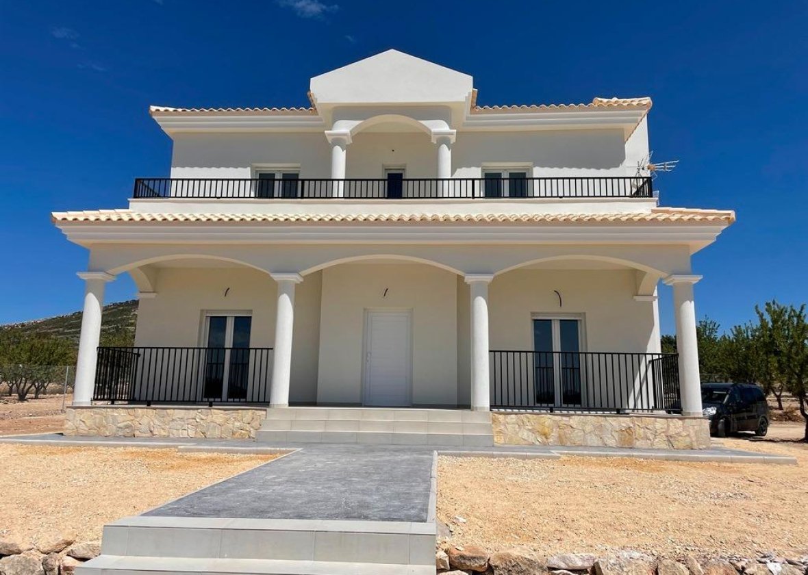 Obra nueva - Villa - Pinoso - Camino Del Prado