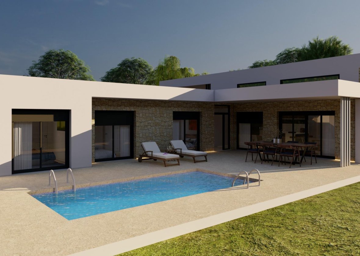 Obra nueva - Villa - Pinoso - Campo