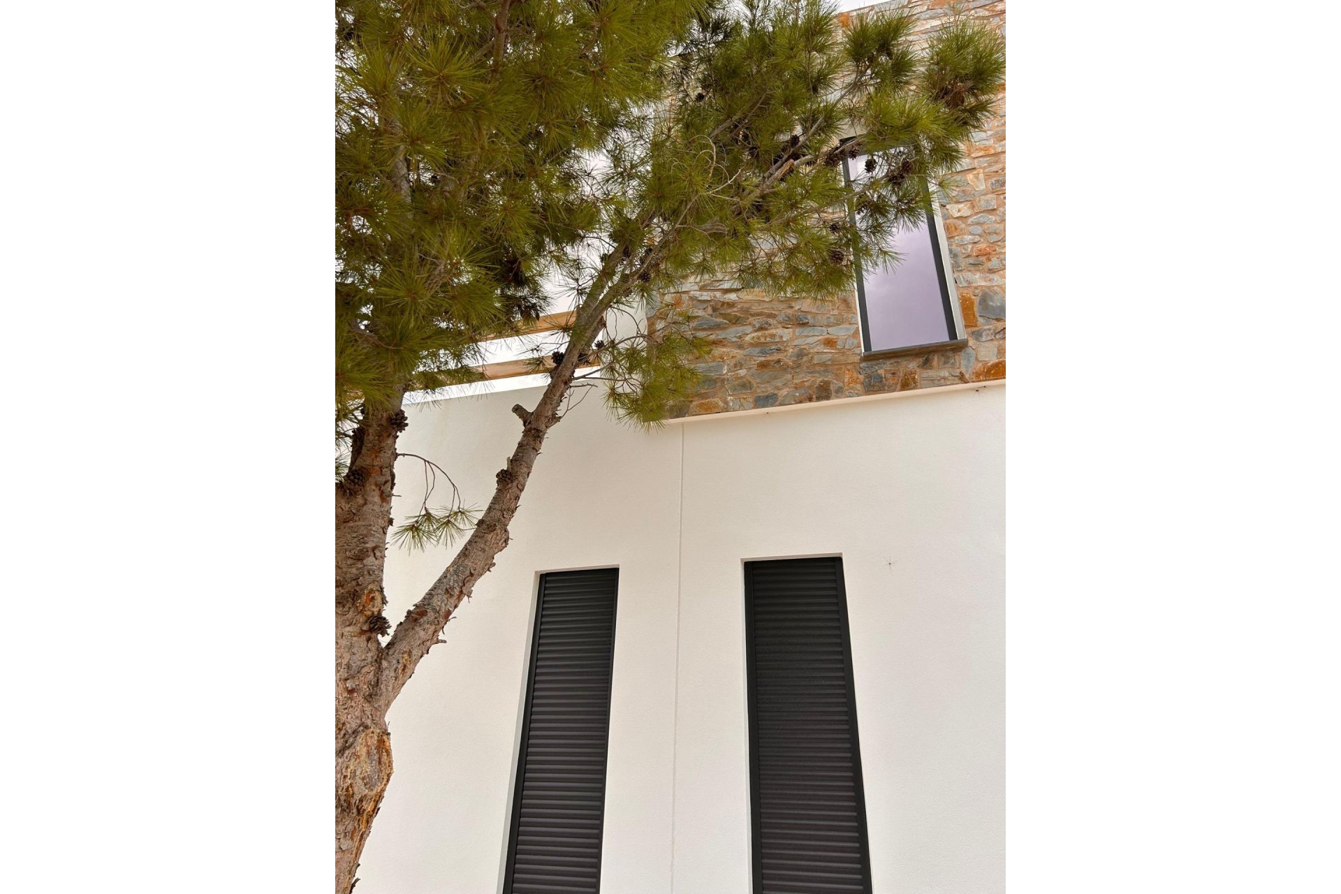 Obra nueva - Villa - Pinoso - Casas Pastor