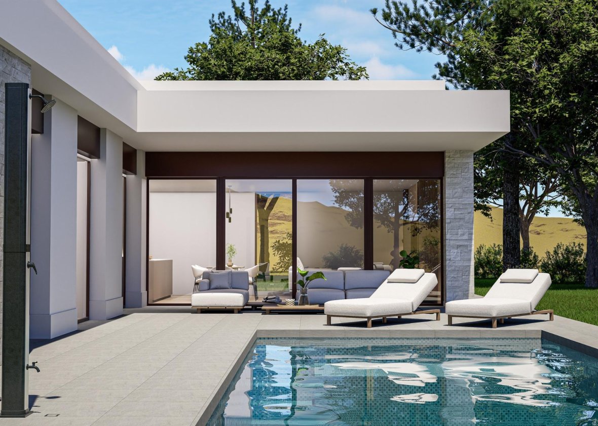 Obra nueva - Villa - Pinoso - Lel