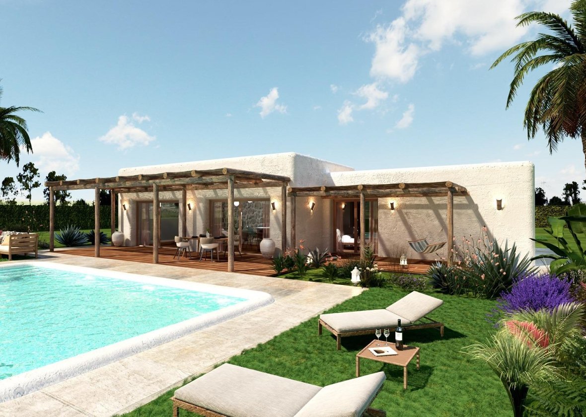 Obra nueva - Villa - Pinoso - Rodriguillo