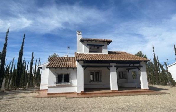 Villa - New Build - Fuente Álamo - NB-37081