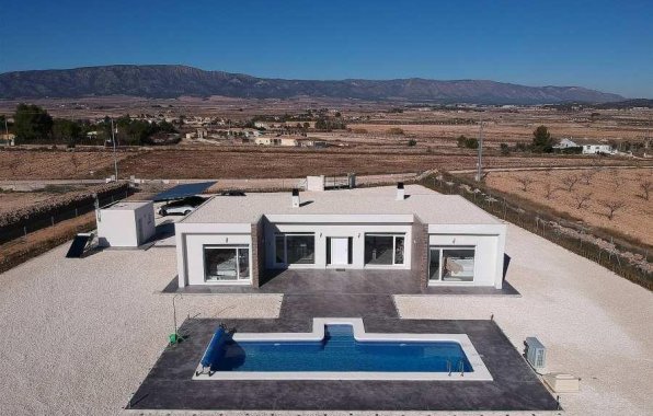 New Build - Villa - Pinoso - Camino Del Prado