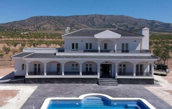 New Build - Villa - Pinoso - Camino Del Prado