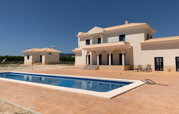 New Build - Villa - Pinoso - Camino Del Prado