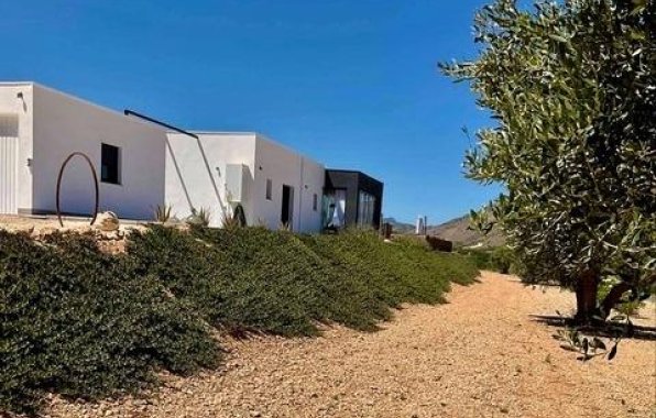 New Build - Villa - Jumilla - Torre del Rico