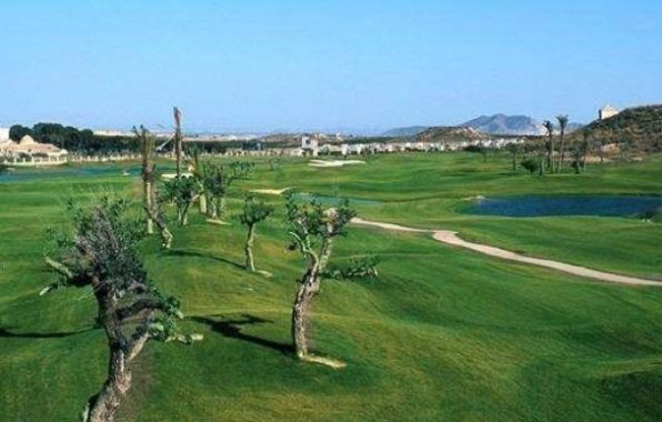 Obra nueva - Villa - Sucina - Peraleja Golf