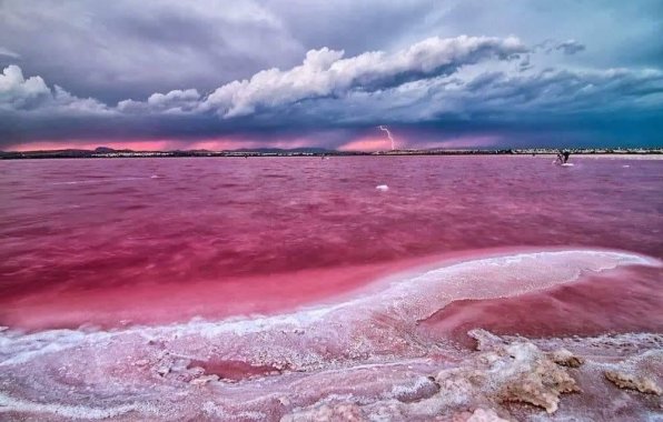 New Build - Apartment / flat - Torrevieja - Centro