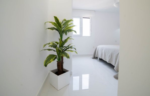 Resale - Apartment / flat - Torrevieja - Playa del Cura