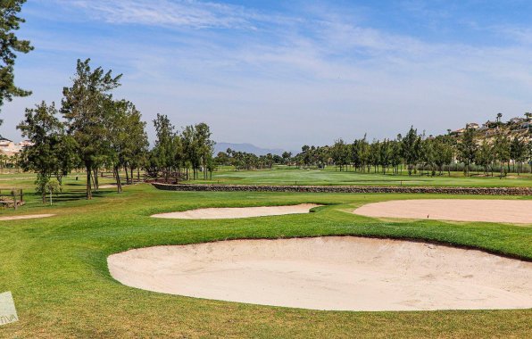 New Build - Villa - Rojales - Ciudad Quesada