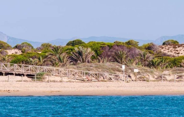 New Build - Apartment / flat - Guardamar del Segura - Pueblo