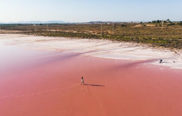 Obra nueva - Apartamento / piso - Torrevieja - Habaneras