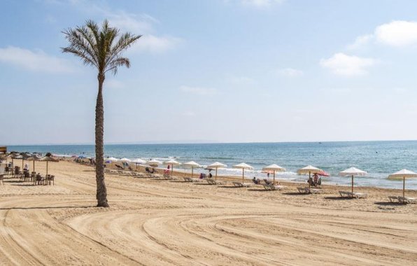 Neue Gebäude - Penthouse - Guardamar del Segura - Pueblo