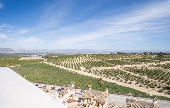 Obra nueva - Villa - Algorfa - La Finca Golf