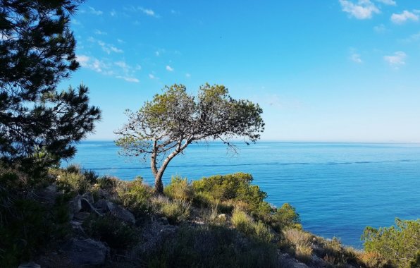 New Build - Apartment / flat - Villajoyosa - Playa Les Torres