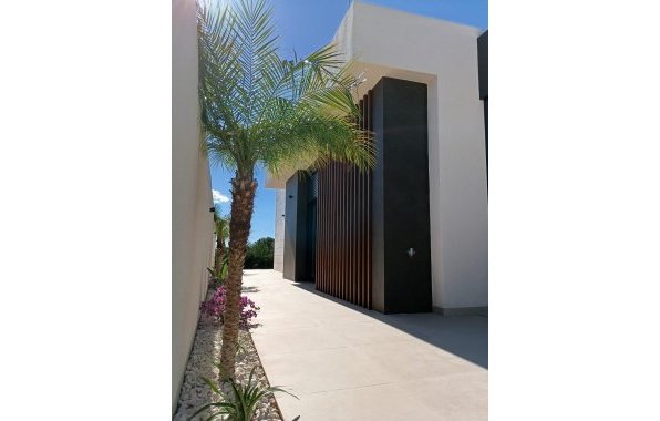 New Build - Villa - Pilar de la Horadada - Roda Golf