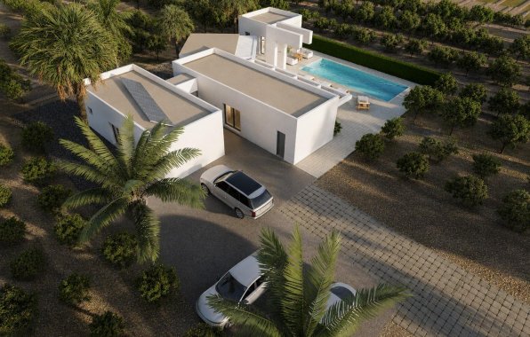 New Build - Villa - Benejúzar - alta