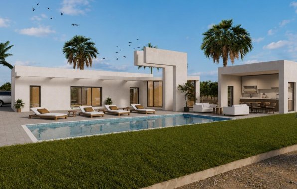New Build - Villa - Benejúzar - alta