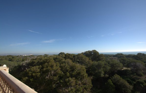 New Build - Apartment / flat - Guardamar del Segura - Pueblo