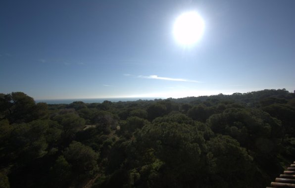 New Build - Penthouse - Guardamar del Segura - Pueblo