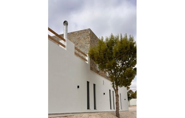 New Build - Villa - Pinoso - Casas Pastor