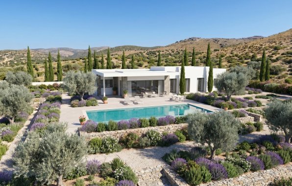 New Build - Villa - Pinoso - Casas Pastor