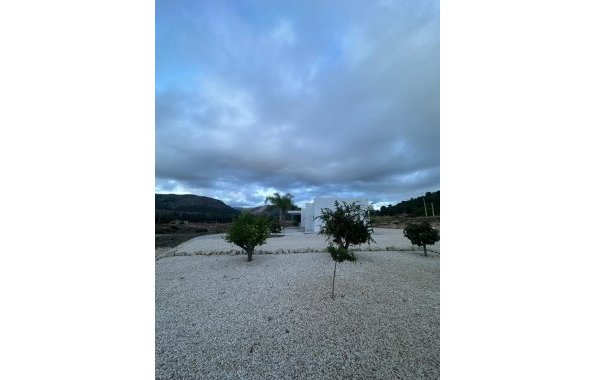 New Build - Villa - Pinoso - Casas Pastor