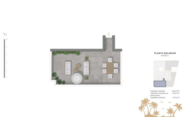 Obra nueva - Ático - Guardamar del Segura - Pueblo